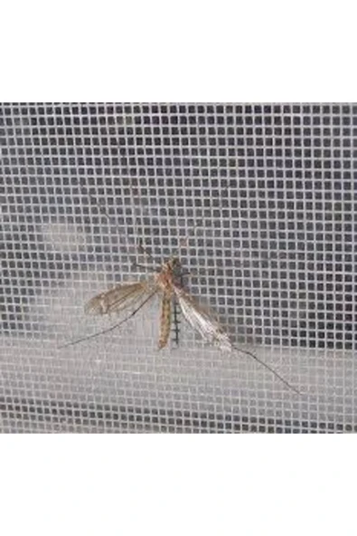 Ebax Fiberglass Sinek Teli-sineklik En:100 Cm X Uzunluk : 14 Metre - 2