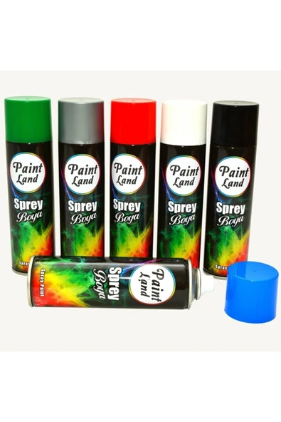 Paint Land Sprey Boya 200 ml Hayatınıza Renk Katın Mat Siyah