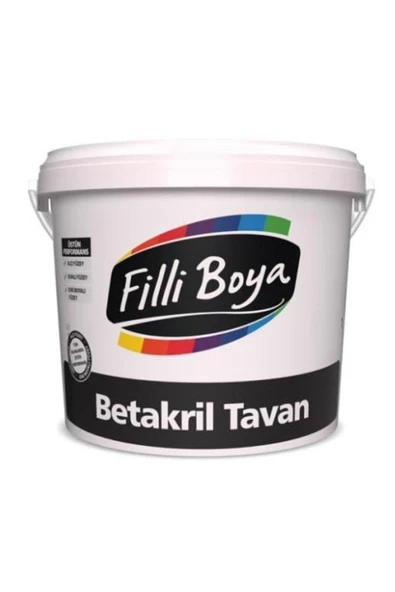 Küf-nem Önleyici Betakril Tavan Boyası