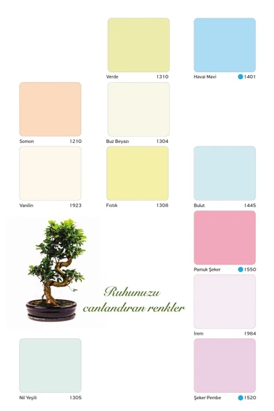 Plastik Iç Cephe Duvar Boyası 20 Kg + Tavan Boyası 10 Kg + Set Renk - 2