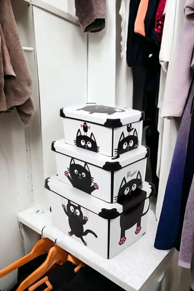 Style Box Meow Desenli 3 Parça Dekoratif Saklama Kutusu Seti - 4