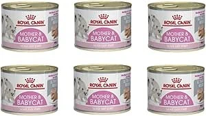 Royal Canin Mother & Baby Cat Kedi Konserve 195 Gr. X 6 Adet
