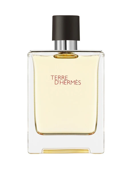 Hermes Terre D'Hermes Erkek Parfüm EDT 100 ML - 2