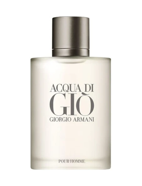 Giorgio Armani Acqua Di Gio Homme Erkek Parfüm EDT 100 ML