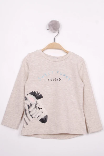 Toontoy Kız Çocuk Zebra Baskılı Nakışlı T-Shirt - 8
