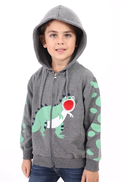 Toontoy Erkek Çocuk Baskılı Hırka - 3