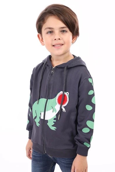 Toontoy Erkek Çocuk Baskılı Hırka - 12