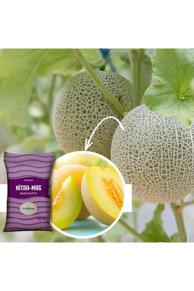 Nitramag - Magnezyum Nitra Toz Gübre 25 kg - 2