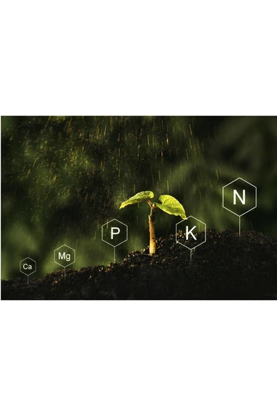 Potasyum Nitrat Bitki Besini Gübresi 25 Kg - 2