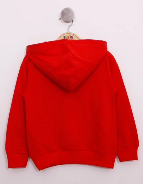 Toontoy Erkek Çocuk Pullu U.S.A Bayraklı Nakışlı Sweatshirt - 5