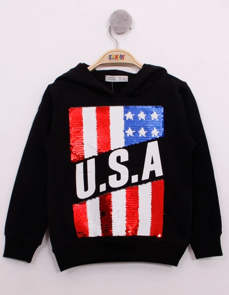 Toontoy Erkek Çocuk Pullu U.S.A Bayraklı Nakışlı Sweatshirt - 9