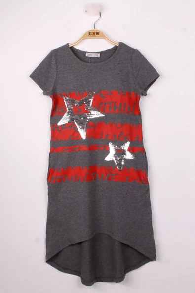 Toontoy Kız Çocuk Yıldız Pullu Elbise - Resim 9