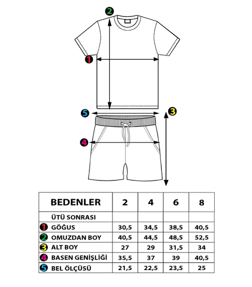 Toontoy Erkek Çocuk Baskılı Şortlu Takım - Resim 4