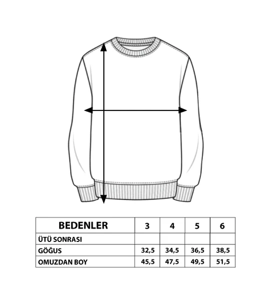 Toontoy Erkek Çocuk Handsome Baskılı Sweatshirt - 4