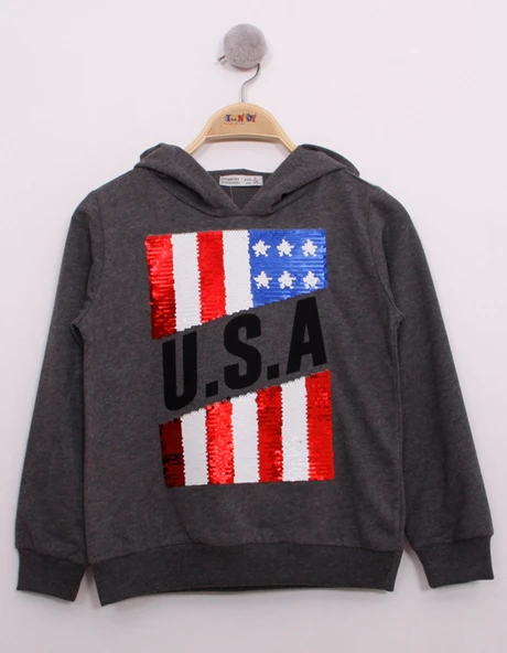 Toontoy Erkek Çocuk Pullu U.S.A Bayraklı Nakışlı Sweatshirt - 7