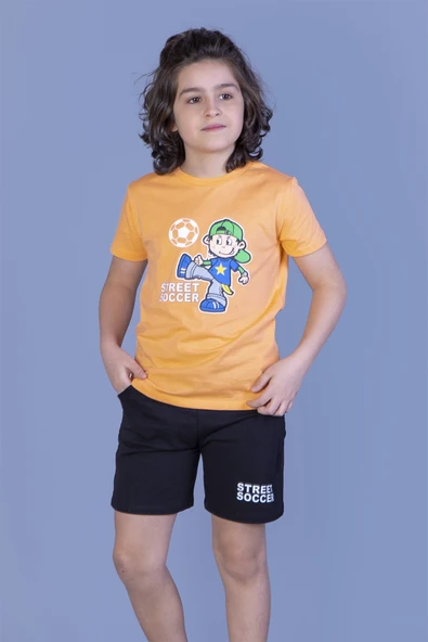 Toontoy Erkek Çocuk Baskılı Şortlu Takım - Resim 9