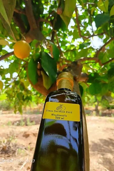 Limon Sarımsak Kürü Maydanozlu 500 ml - 3