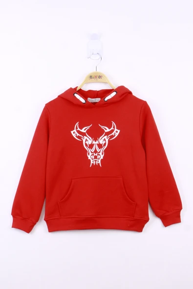 Toontoy Erkek Çocuk Boğa Baskılı Sweatshirt - 3