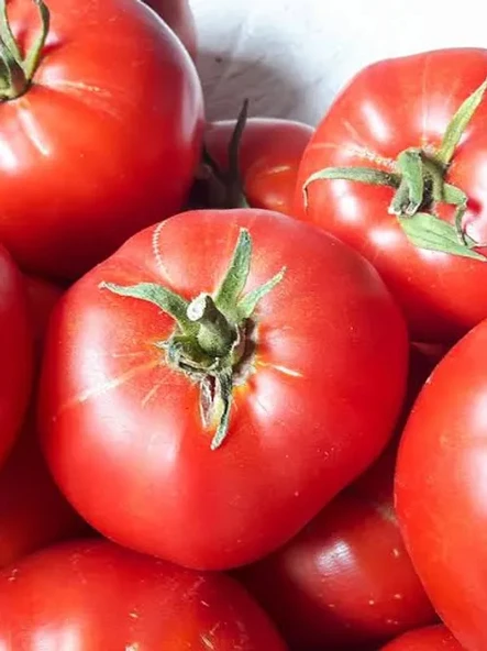 Gün Kurusu El Yapımı Domates Salçası 1500 gr - 2