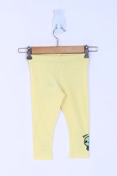 Toontoy Kız Çocuk Dino Nakışlı Tayt - 6