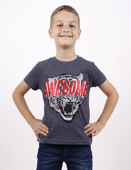 Toontoy Erkek Çocuk Awesome Pul Nakışlı T-Shirt - 4