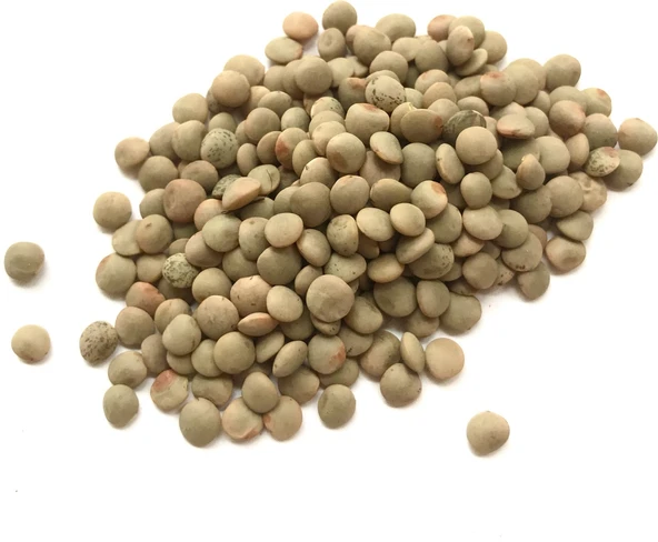 Yeşil Mercimek Toros Yayla 1 kg - Resim 2