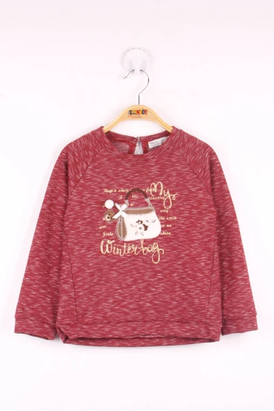Toontoy Kız Çocuk Çanta Nakışlı Sweatshirt - 6