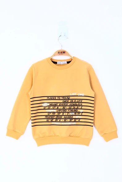 Toontoy Erkek Çocuk Yazı Baskılı Sweatshirt - 3