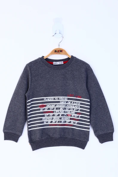 Toontoy Erkek Çocuk Yazı Baskılı Sweatshirt - 10