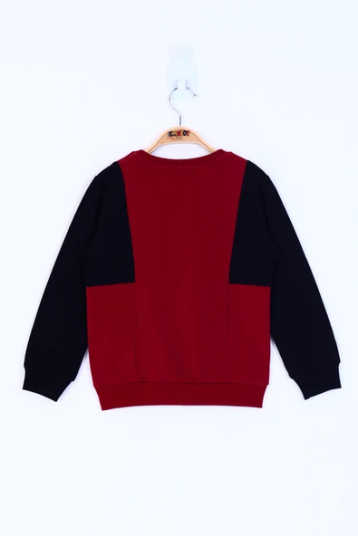 Toontoy Erkek Çocuk Sweet Boy Baskılı Sweatshirt - Resim 4