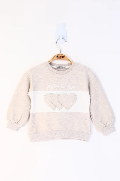 Toontoy Kız Çocuk Kalp Nakışlı Sweatshirt - 7