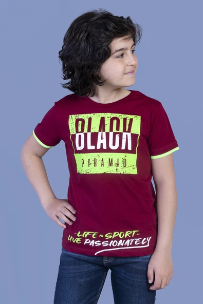 Toontoy Erkek Çocuk Baskılı Tişört - 3