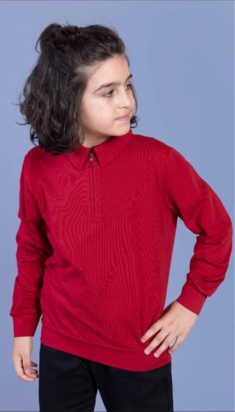 Toontoy Erkek Çocuk Polo Yaka Sweatshirt - 2