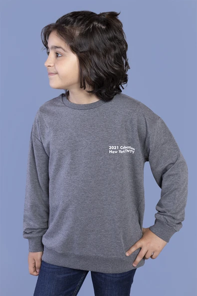 Toontoy Erkek Çocuk Baskılı Sweatshirt ürün görseli 1