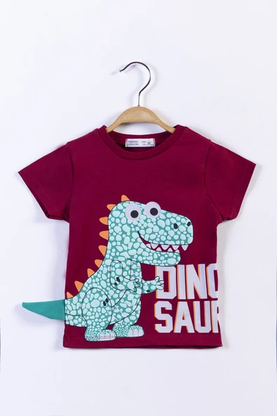 Toontoy Erkek Çocuk Kabartmalı Dinazor Baskılı Tişört - 12