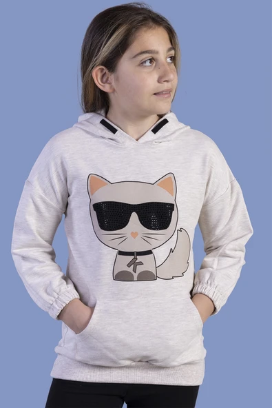 Toontoy Kız Çocuk Kedi Desenli Taş İşlemeli Kanguru Cepli Sweatshirt - 9