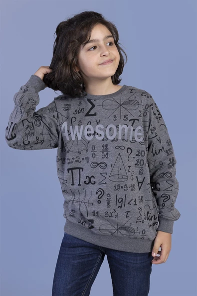 Toontoy Erkek Çocuk Baskılı Sweatshirt - Resim 6