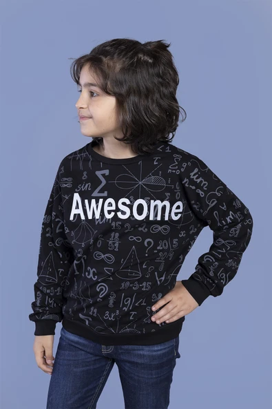 Toontoy Erkek Çocuk Baskılı Sweatshirt - Resim 4