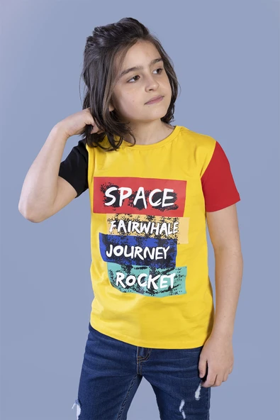 Toontoy Erkek Çocuk Kolları Garni Detaylı Baskılı Tişört - 3