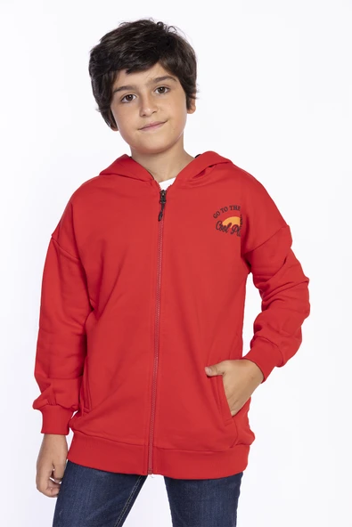 Toontoy Erkek Çocuk Baskılı Kapşonlu Hırka - 3