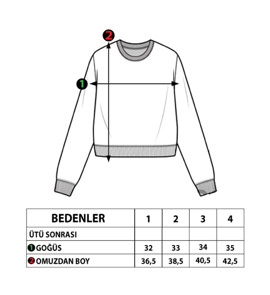 Toontoy Kız Çocuk Nakışlı Balıkçı Yaka Pamuklu Sweatshirt - 2