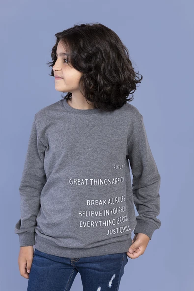 Toontoy Erkek Çocuk Kabartma Baskılı Sweatshirt - 9