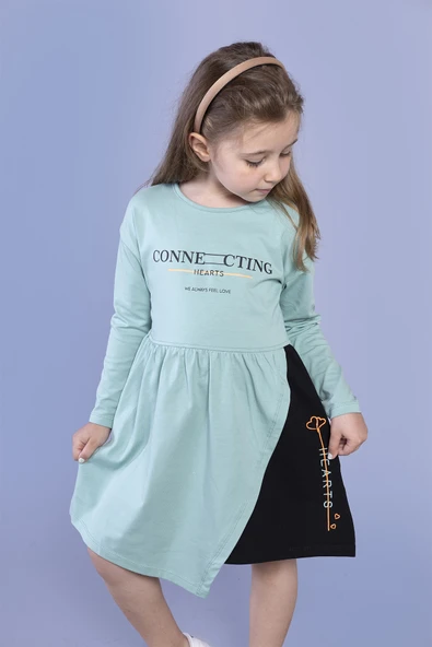 Toontoy Kız Çocuk Baskılı Garni Detaylı Elbise - Resim 6