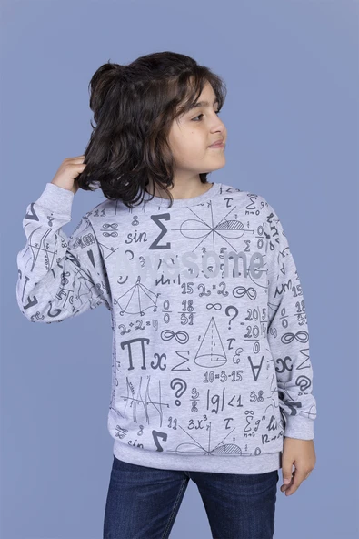 Toontoy Erkek Çocuk Baskılı Sweatshirt - Resim 5