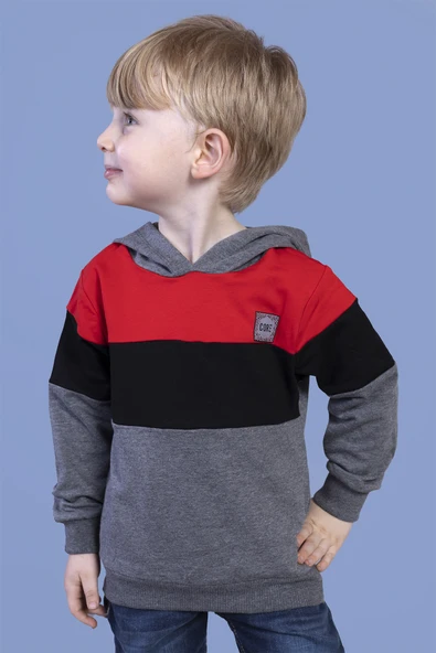 Toontoy Erkek Çocuk Kapüşonlu Garni Detaylı Sweatshirt - 12