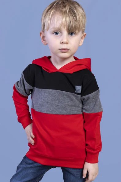 Toontoy Erkek Çocuk Kapüşonlu Garni Detaylı Sweatshirt - 5