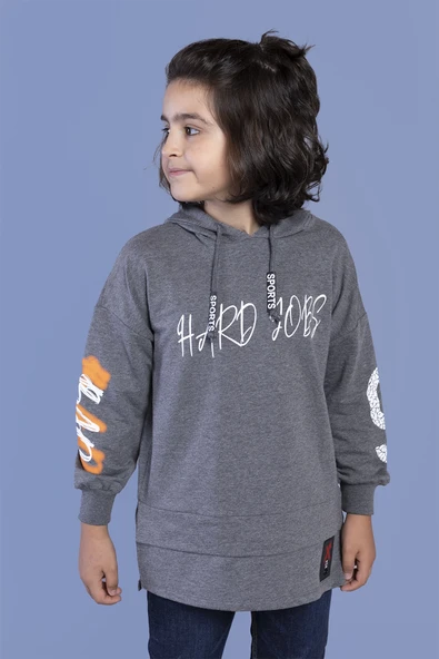 Toontoy Erkek Çocuk Kapüşonlu Baskılı Sweatshirt - Resim 12