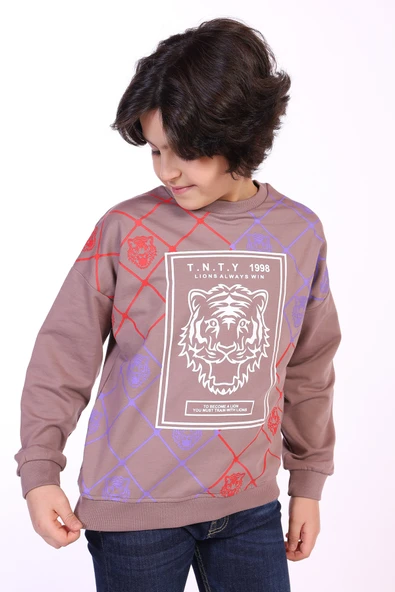 Toontoy Erkek Çocuk Tnty Aslan Baskılı Sweatshirt - 5