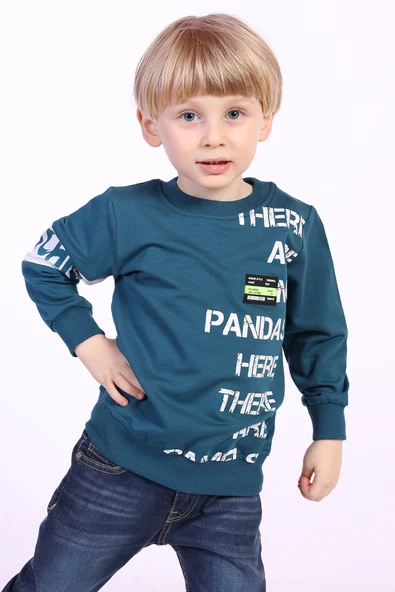 Toontoy Erkek Çocuk Ön Ve Kol Baskılı Sweatshirt - 7