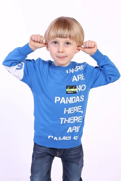 Toontoy Erkek Çocuk Ön Ve Kol Baskılı Sweatshirt - 3